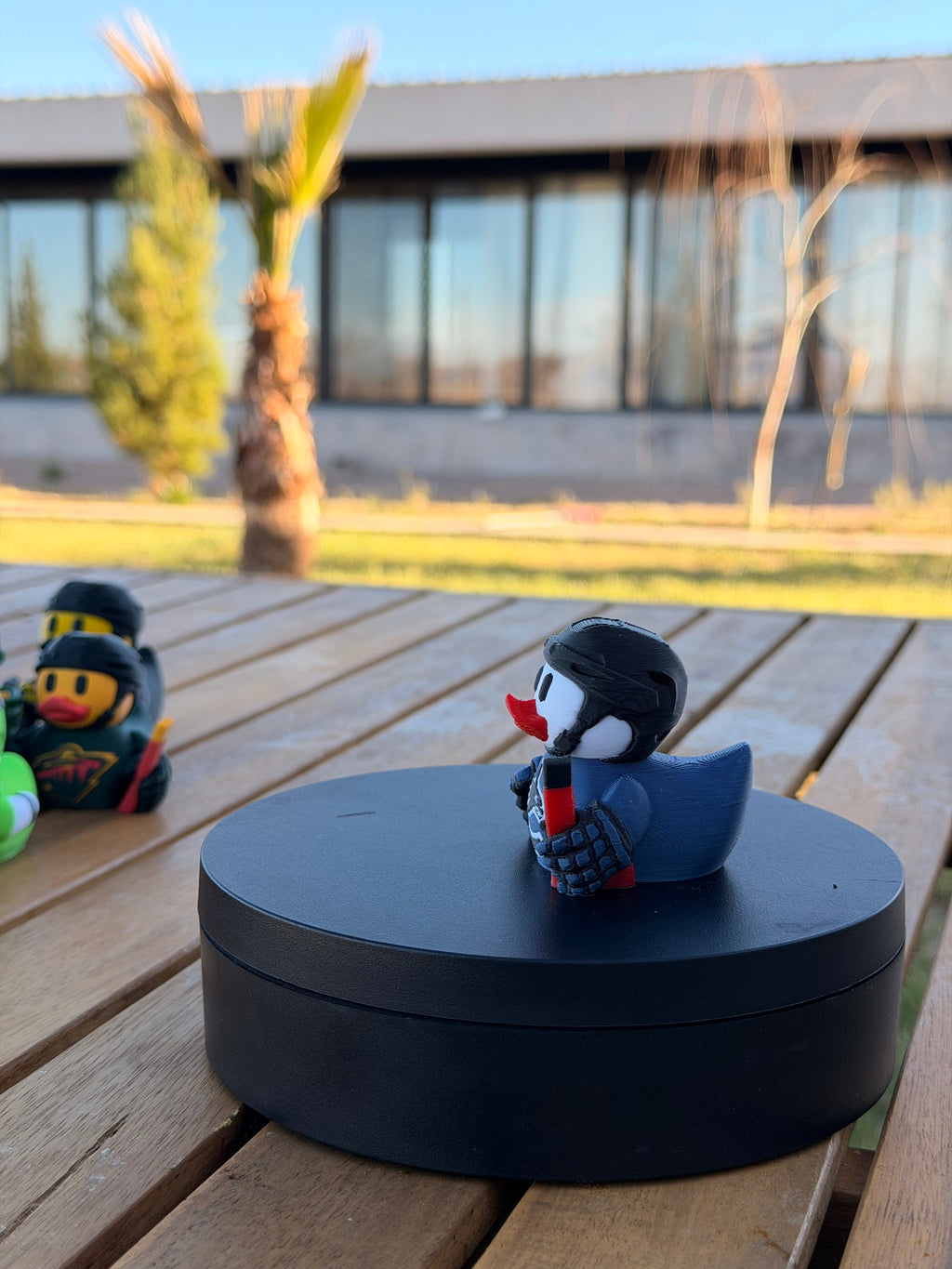 Vancouver Canucks Patito de Hockey – Impreso en 3D Fan NHL Patito Coleccionable | Canucks Regalo Fan | Hockey Decoración de Tablero