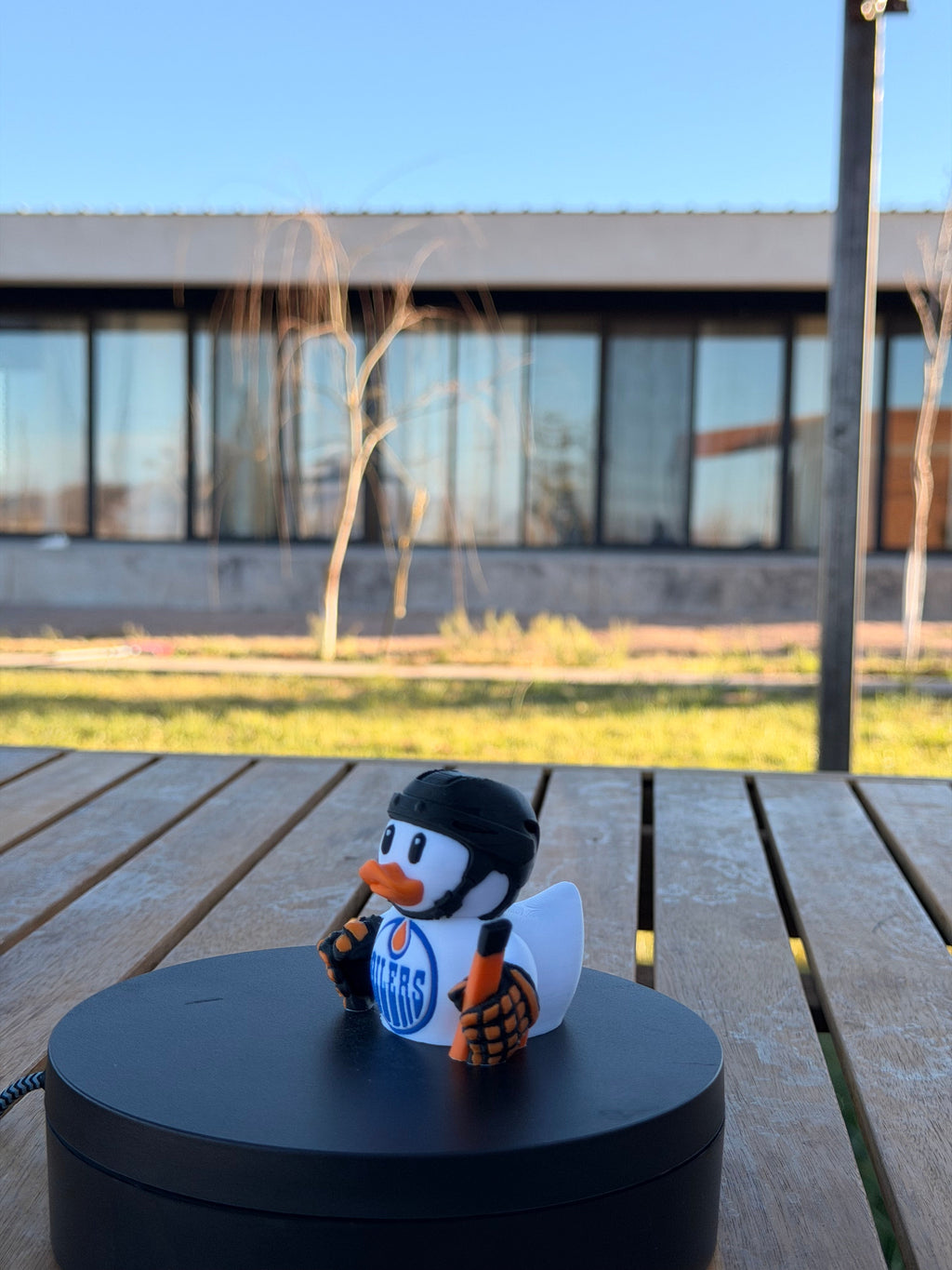 Edmonton Oilers Patito de Hockey – Impreso en 3D Fan NHL Patito Coleccionable | Oilers Regalo Fan | Hockey Decoración de Tablero