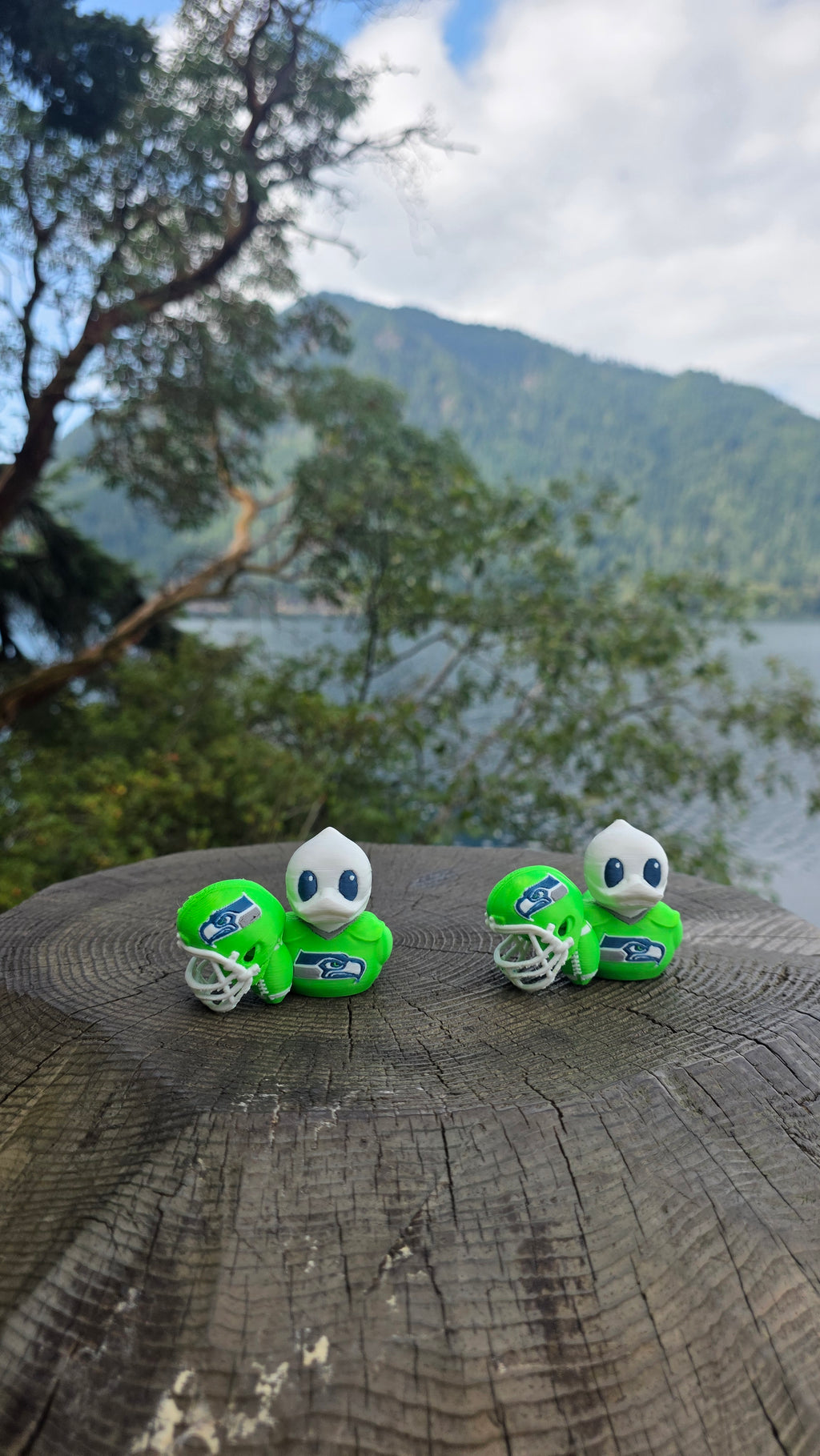 Patito Seattle Seahawks – NFL