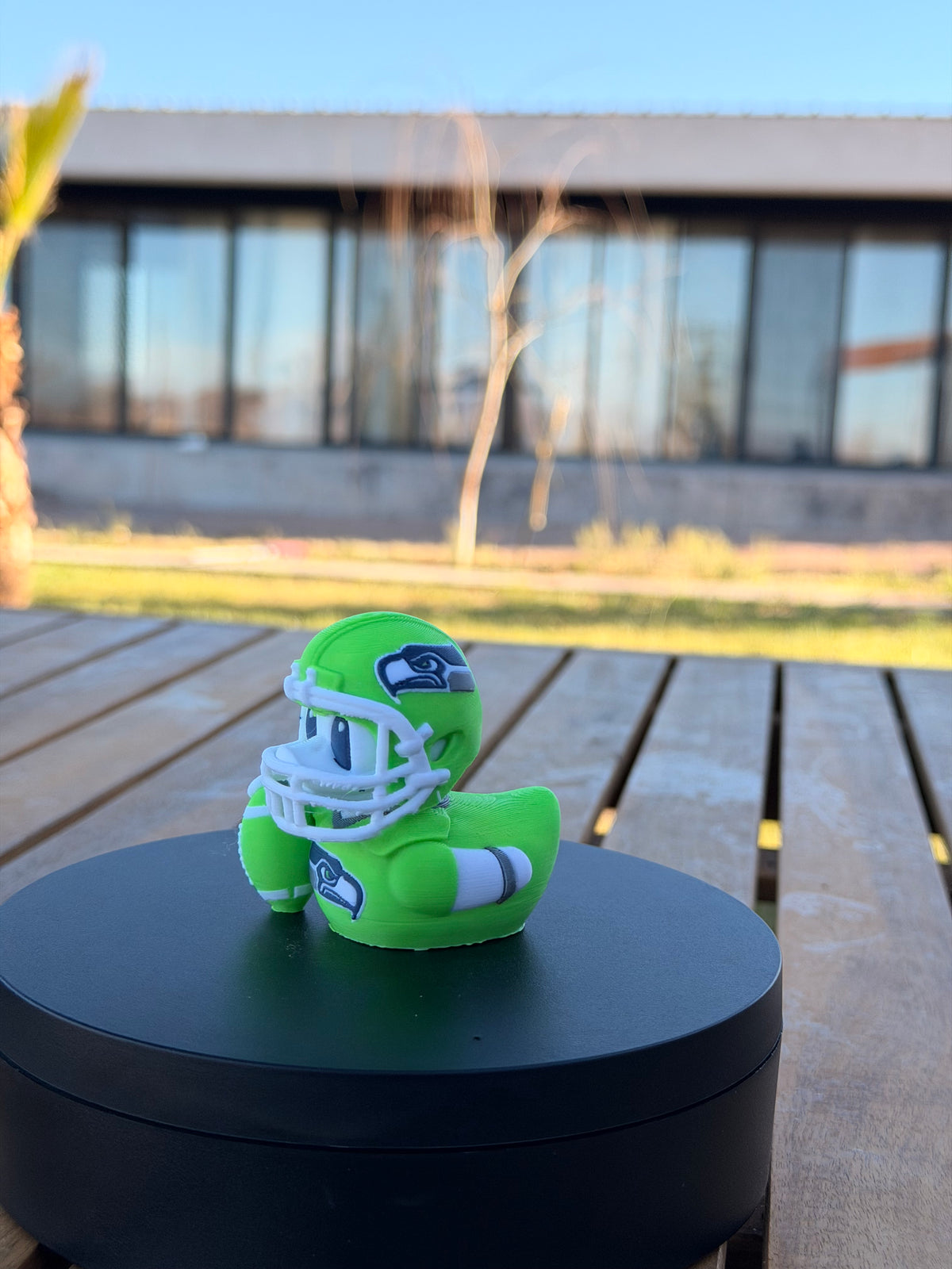 Patito Seattle Seahawks – NFL
