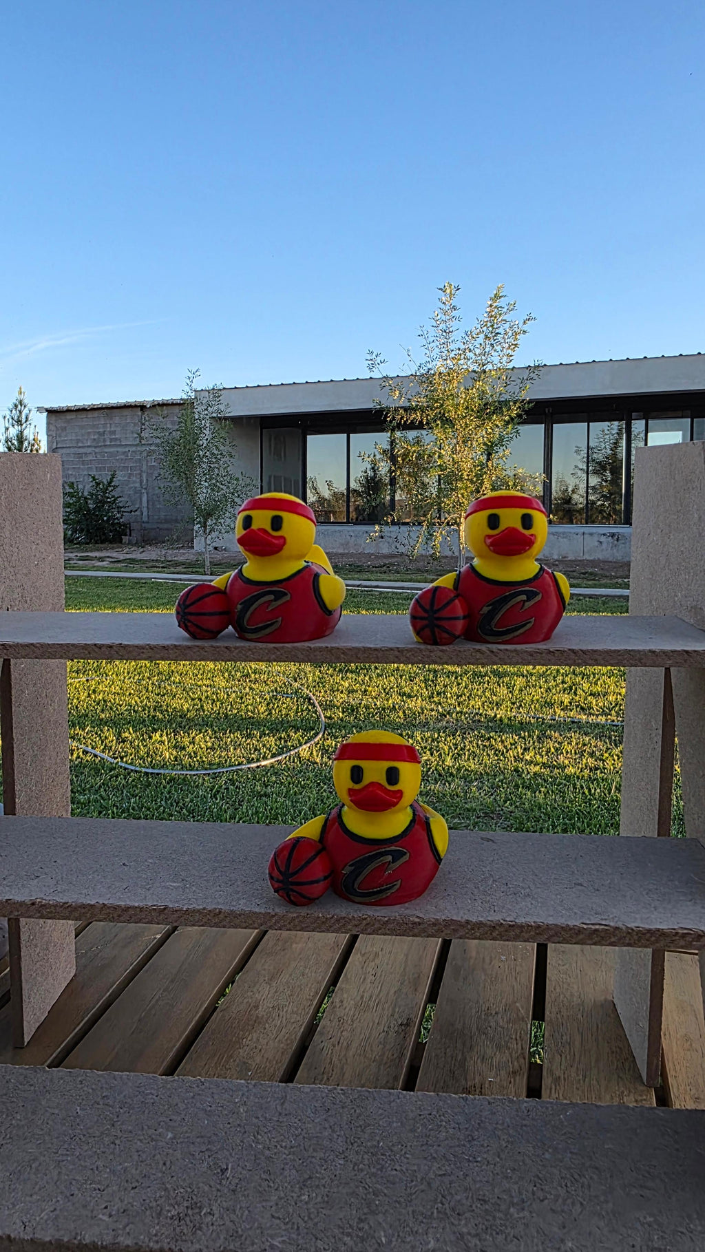 Cleveland Cavaliers Patito de Básquetbol – Impreso en 3D Fan NBA Patito Coleccionable | Cavaliers Regalo Fan | Basketball Decoración de Tablero
