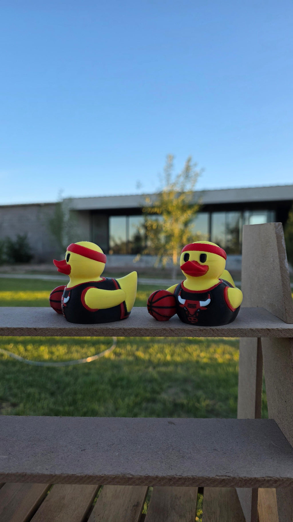 Chicago Bulls Patito de Básquetbol – Impreso en 3D Fan NBA Patito Coleccionable | Bulls Regalo Fan | Basketball Decoración de Tablero